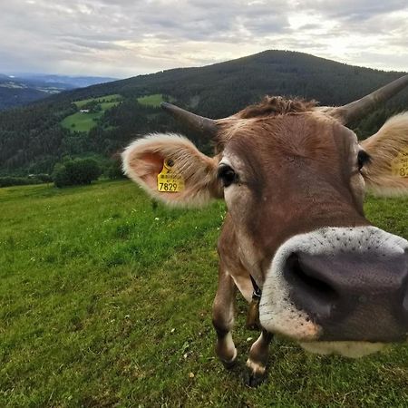 Alpengasthof Fernblick Mönichkirchen Exteriér fotografie
