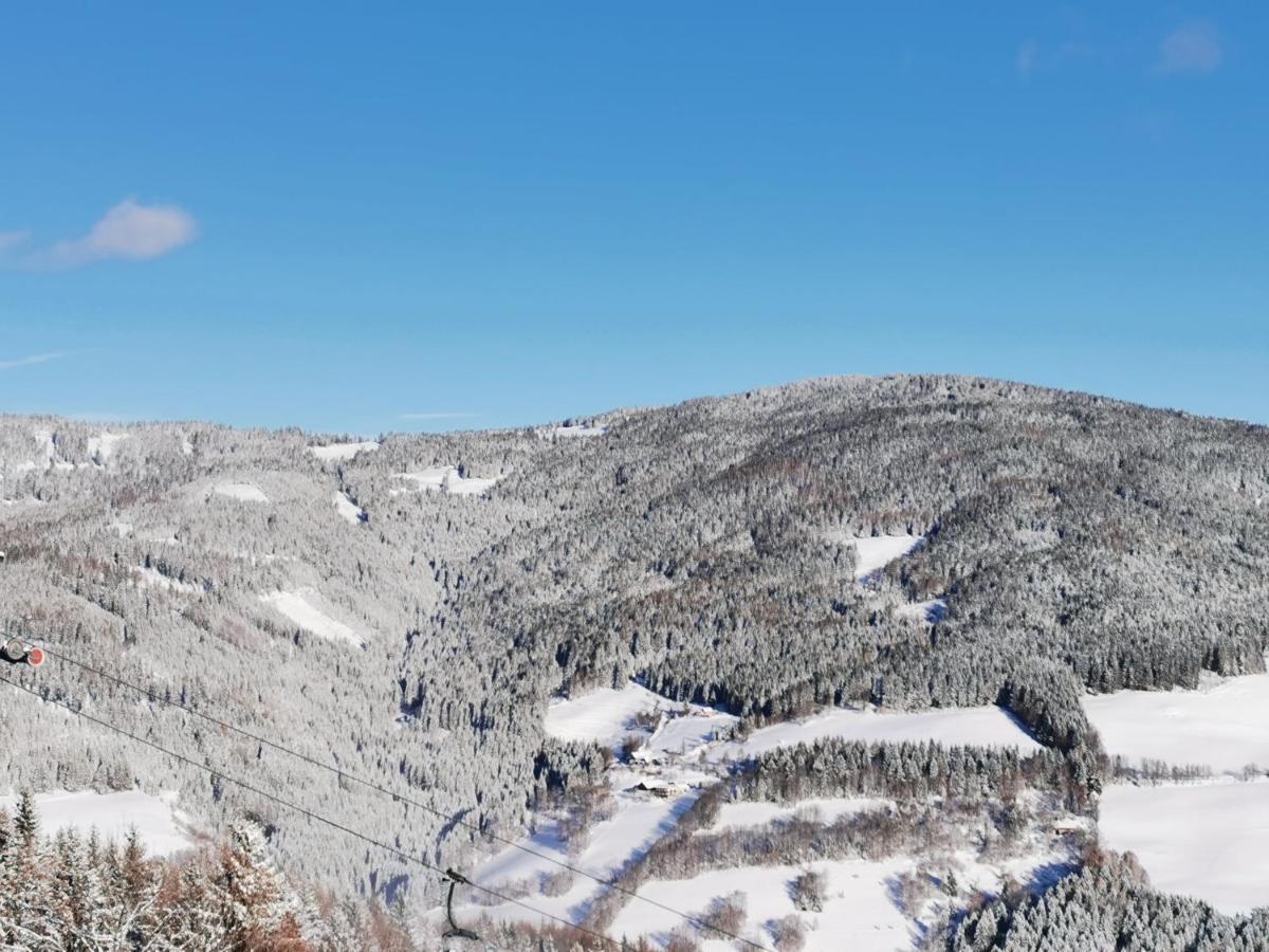 Alpengasthof Fernblick Mönichkirchen Exteriér fotografie