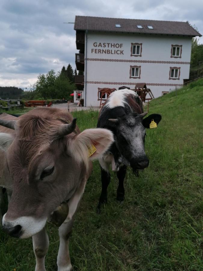 Alpengasthof Fernblick Mönichkirchen Exteriér fotografie